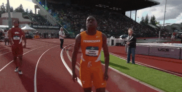 gif 4