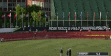 gif 5