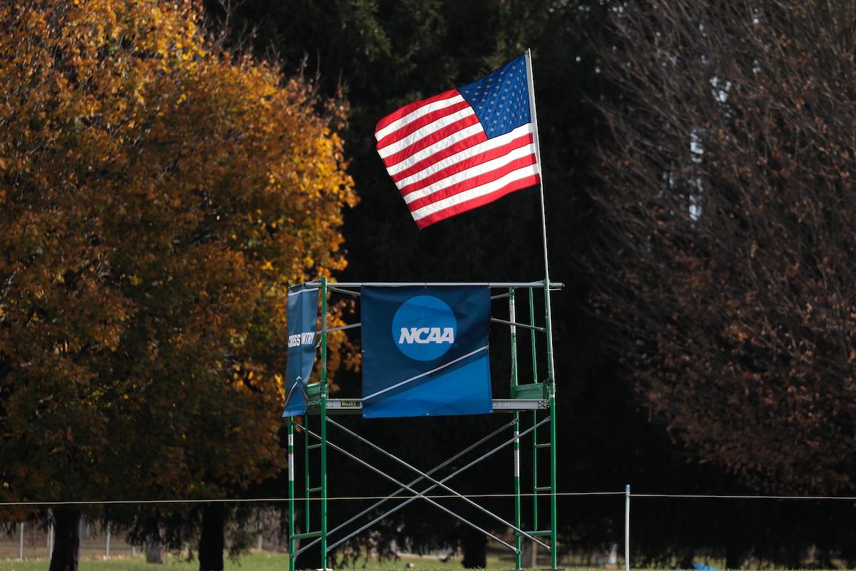 NCAA DII cross country equipment